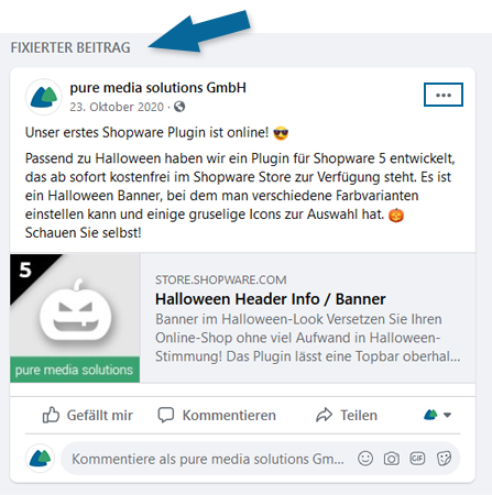Facebook fixierter Beitrag Icon