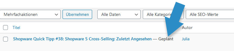 WordPress Backend Seiten Übersicht geplante Seite