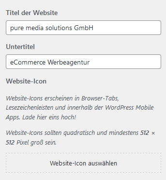 Website-Inromationen_ Titel der Website. Untertitel und Website-Icon WordPress Backend Customizer